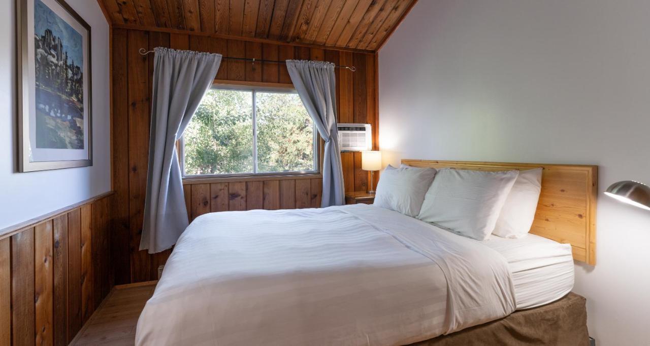 Cedar 4*